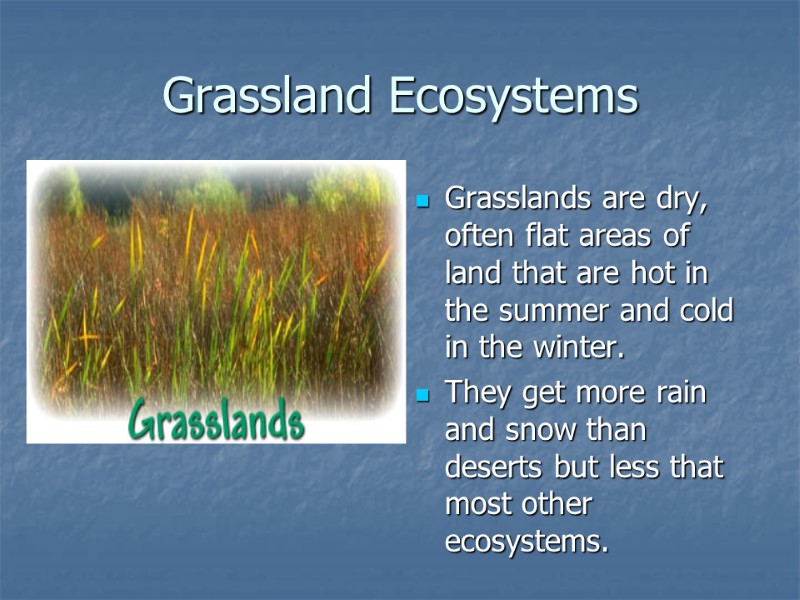 Grassland Ecosystems Grasslands are dry, often flat areas of land that are hot in